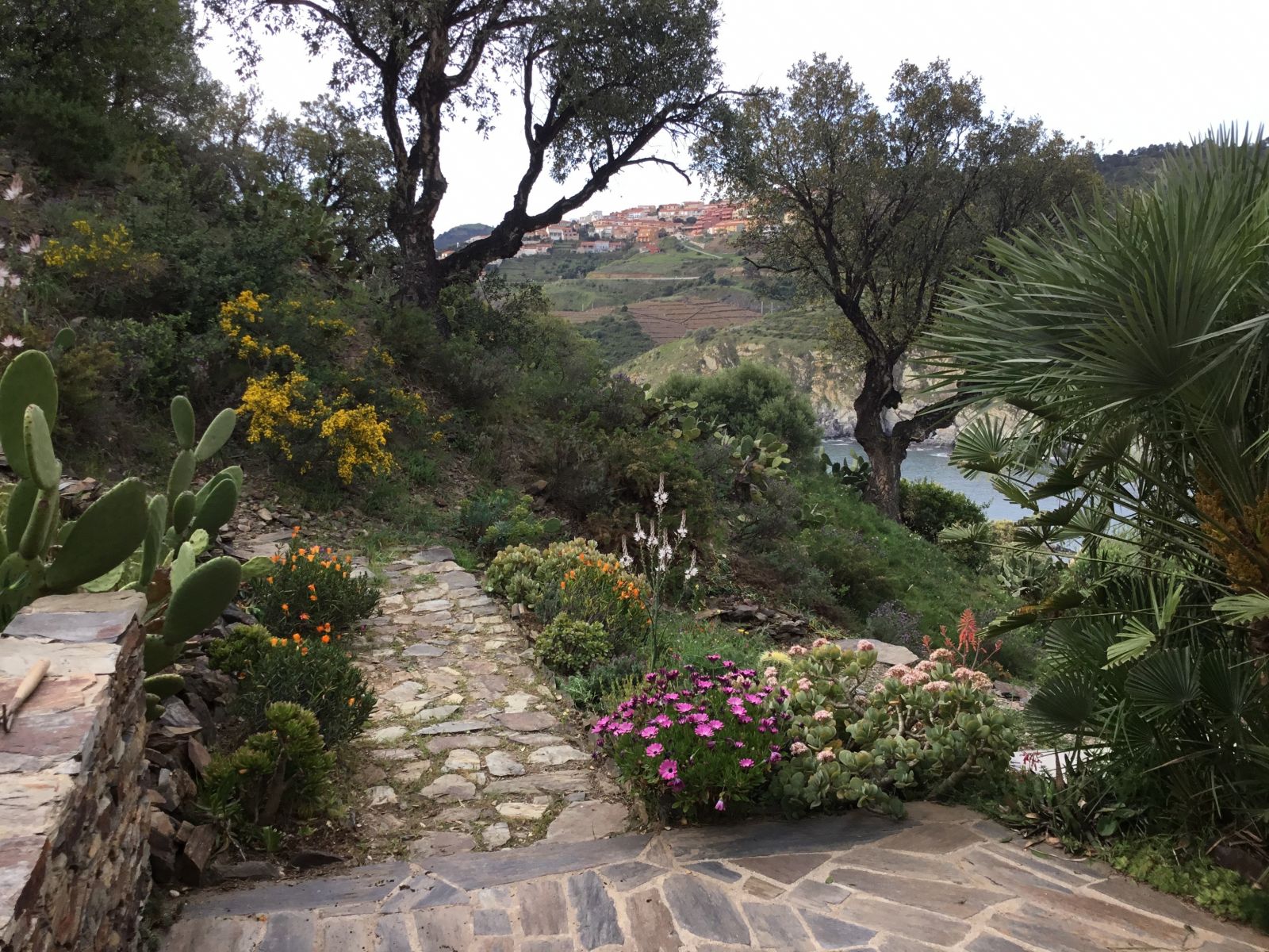 Location vacances réf. S31506601